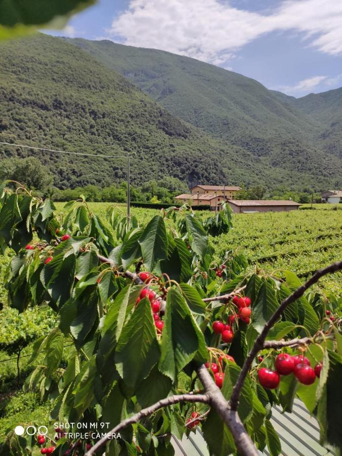 Agriturismo Revena Brentino Belluno Luaran gambar